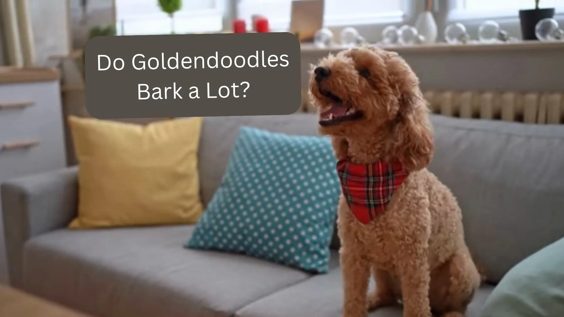 do goldendoodles bark a lot
